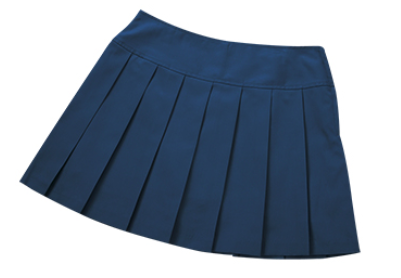 Pleated Navy Skirt